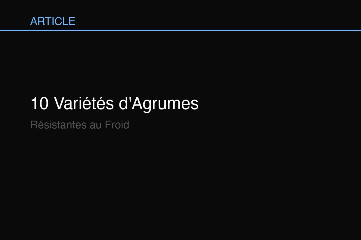 10 Variétés d'Agrumes Résistantes au Froid : Guide de Survie Hivernale